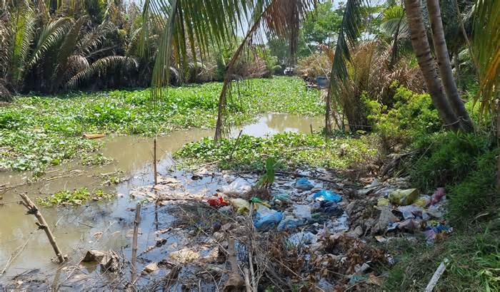 Vĩnh Long: Gần 400 hộ dân xã nông thôn mới nâng cao chưa có nước sạch