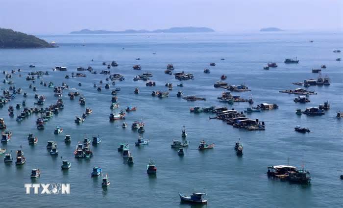 Kiên Giang đầu tư 430 tỷ đồng cho hạ tầng phục vụ phát triển nuôi trồng thủy sản