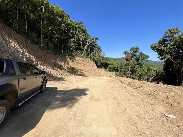 Chủ tịch tỉnh Quảng Ngãi chỉ đạo ‘nóng’ vụ phá rừng tự nhiên mở đường công vụ