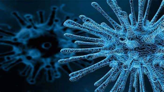 Pakistan: Vẫn phát hiện virus bại liệt trong môi trường ở Karachi