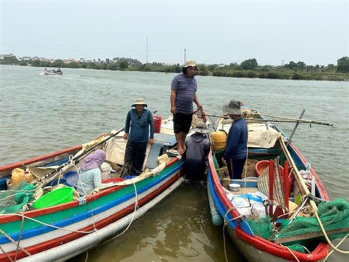 Giải quyết tranh chấp, đánh nhau để độc chiếm ngư trường khai thác ốc gạo