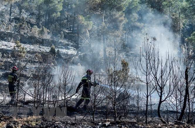Hơn 8.000 hécta rừng gần biên giới Tây Ban Nha-Bồ Đào Nha bị thiêu rụi