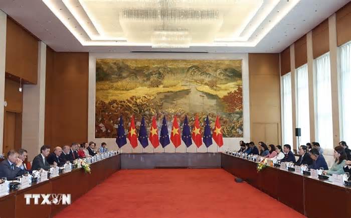 Quan hệ giữa Việt Nam với EU và các nước thành viên đang phát triển tích cực trên tất cả các lĩnh vực