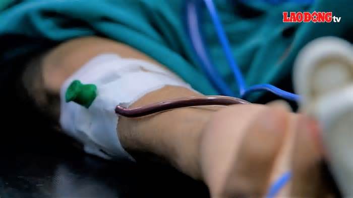Cần Thơ có kết quả gói thầu túi máu, không để thiếu máu cấp cứu dịp Tết