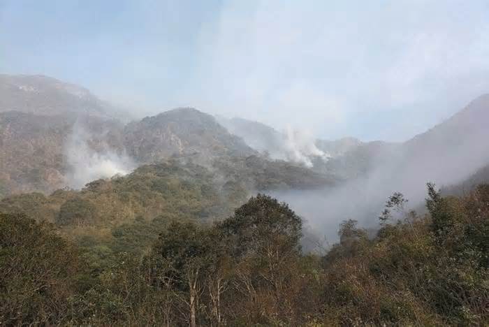 Cháy rừng ở Trạm Tấu, Yên Bái, gần 110ha bị thiêu rụi