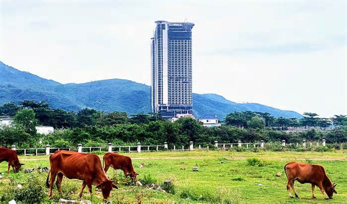 Kiểm tra, xử lý vụ ‘quên’ thu hồi đất tại Nha Trang với công ty liên quan Lã Quang Bình