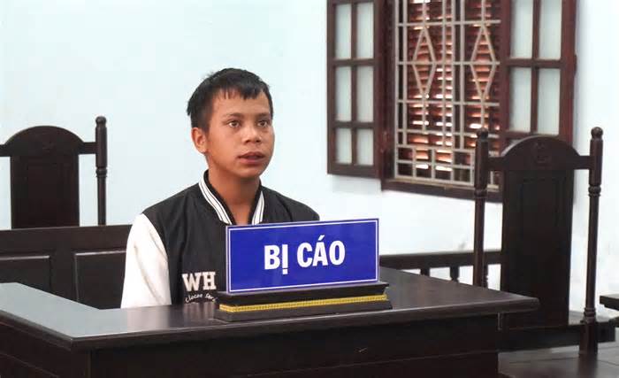Nhổ trộm sâm Ngọc Linh, nam thanh niên nhận án tù