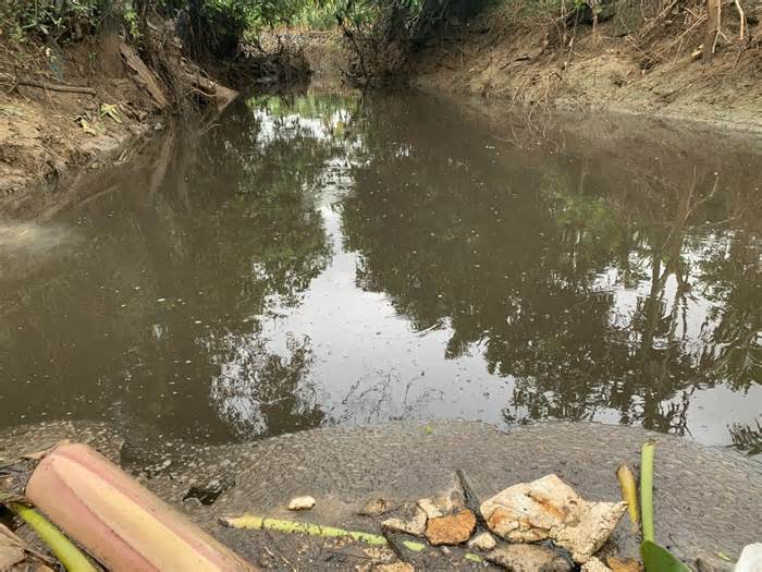 Nước thải từ bãi rác Khánh Sơn rò rỉ gây ô nhiễm môi trường