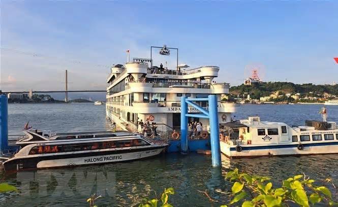 Quảng Ninh thông tin về việc cấp phép biểu diễn ở 'Phố đêm du thuyền'