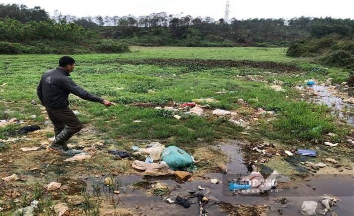 Ruộng bị bỏ hoang vì chìm trong nước thải bãi rác