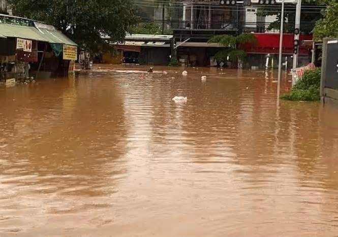 Bình Phước: Hỗ trợ người dân khắc phục hậu quả do mưa lớn kéo dài