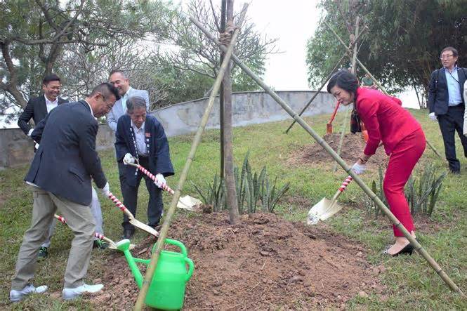 Hà Nội tiếp nhận, trồng 110 cây hoa anh đào tại Công viên Hòa Bình