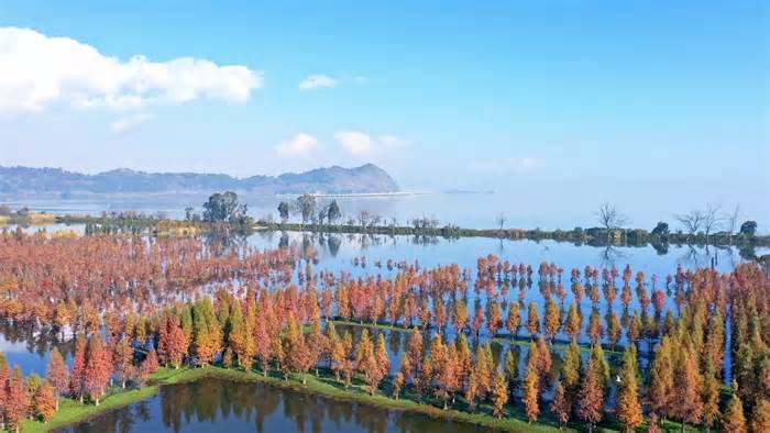 Thiên nhiên thơ mộng ở hồ Điền Trì
