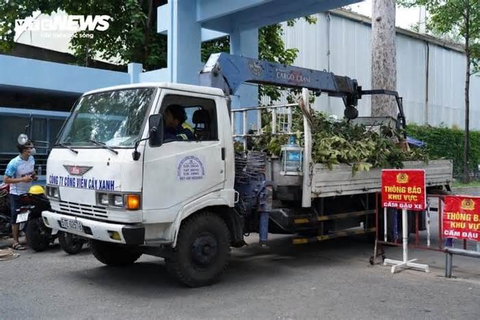 TP.HCM: Nhân chứng kể cảnh cành cây rơi đè chết người ở công viên Tao Đàn