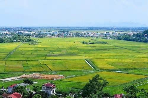 Tiền Giang: Chuyển gần 50 ha đất để làm dự án Cụm Công nghiệp Gia Thuận