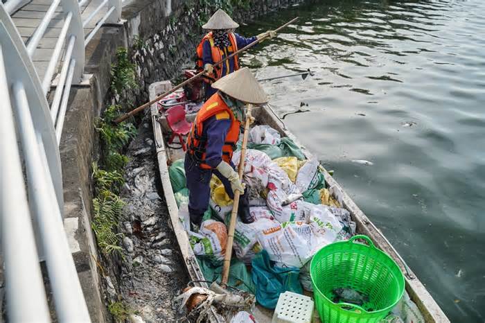 Đề xuất 'đánh tỉa' cá nguy hại để bảo vệ môi trường hồ Tây