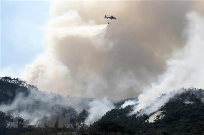 Hàn Quốc chỉ định các vùng thảm họa đặc biệt do cháy rừng