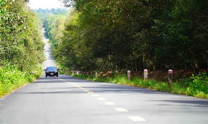 Đại Quang Minh đề xuất làm 13km cầu cạn qua Khu bảo tồn thiên nhiên văn hóa Đồng Nai