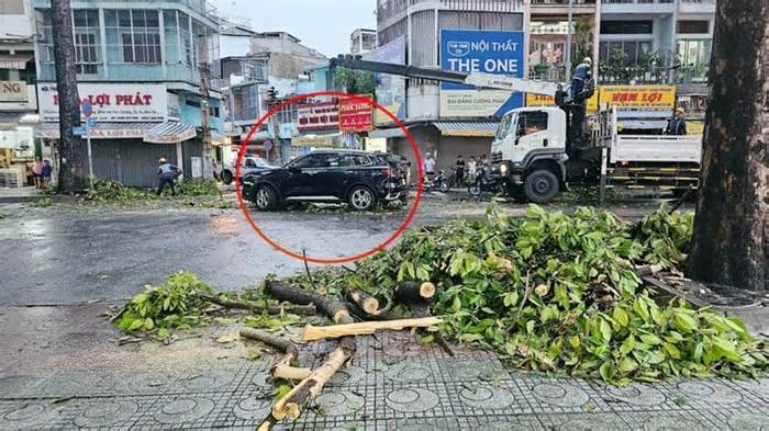 Mưa lớn ở TP.HCM làm cây đổ đè ô tô, 6 người may mắn thoát chết