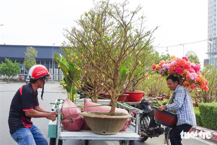 Chở thuê mùa xuân, người lao động nghèo đất biển Kiên Giang có tiền ăn Tết