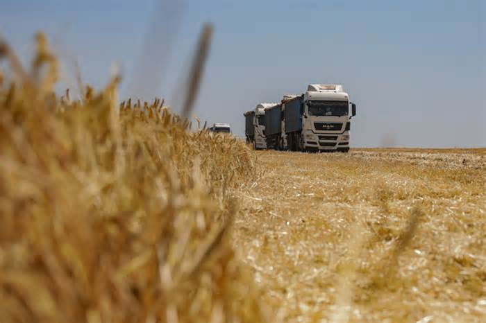 Tin tức thế giới 18-7: Nga rời thỏa thuận ngũ cốc; Mỹ bảo vệ tàu lương thực Ukraine