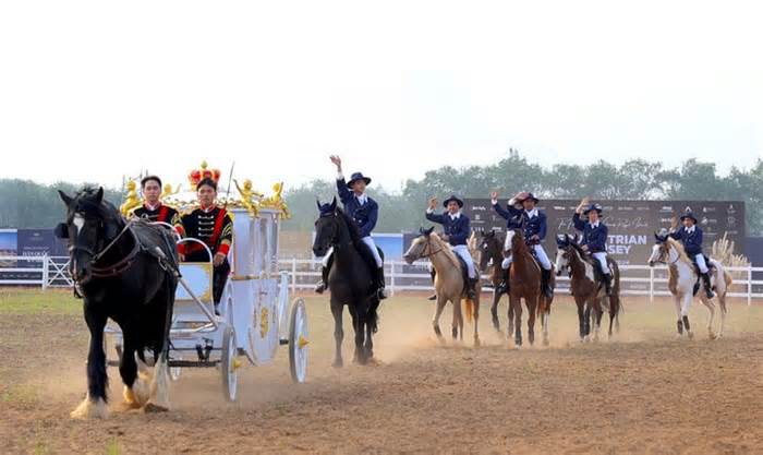 Chiêm ngưỡng dàn ngựa quý hiếm trình làng ở Vinpearl Horse Academy