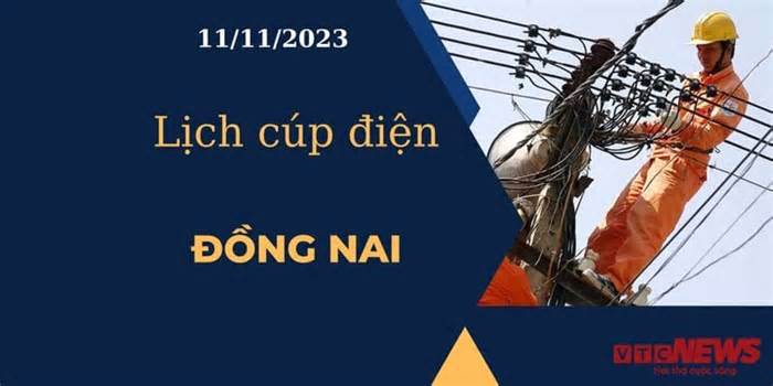 Lịch cúp điện hôm nay tại Đồng Nai ngày 11/11/2023