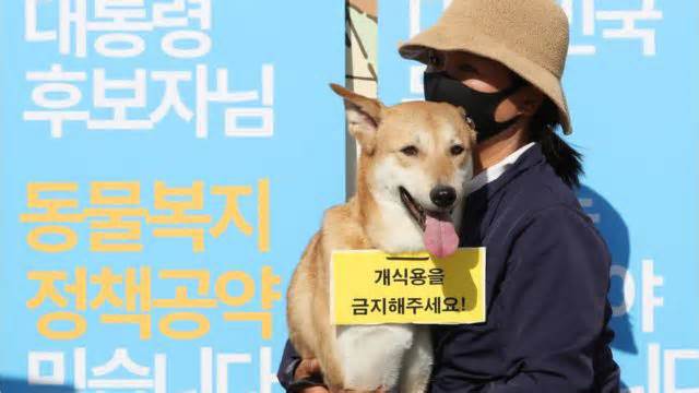 Những cuộc tranh cãi không hồi kết tại Hàn Quốc về 'món thịt chó'