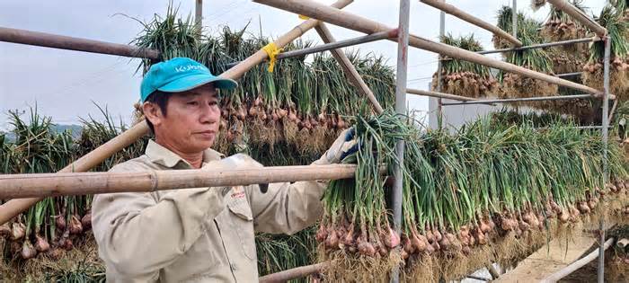Hải Dương phấn đấu thu nhập bình quân nông dân đến 80 triệu đồng/năm