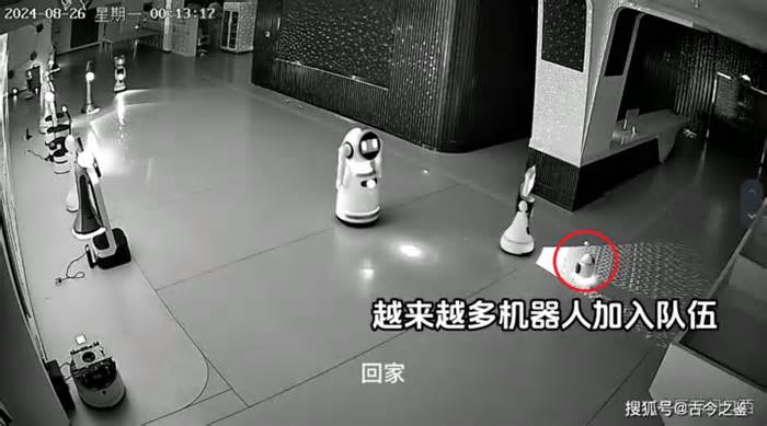 Robot nhỏ rủ rê 12 robot lớn 'bỏ việc' gây xôn xao Trung Quốc