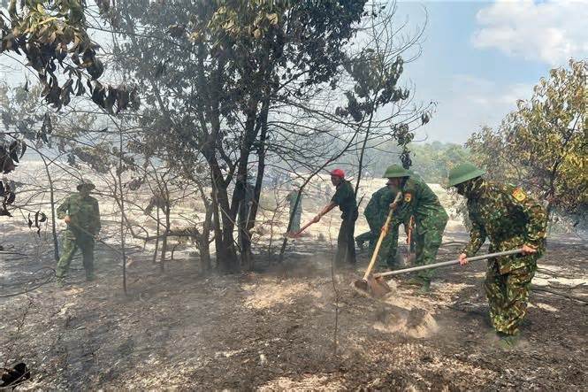 Hơn 7,5ha rừng phòng hộ tại Thừa Thiên-Huế bị cháy