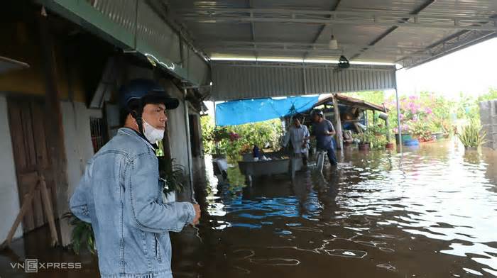 Nhà dân và thanh long ở Bình Thuận chìm trong biển nước