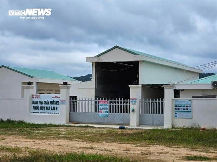 Nước thải từ trại nuôi hơn 20.000 con heo nhuộm đen suối đầu nguồn ở Phú Yên
