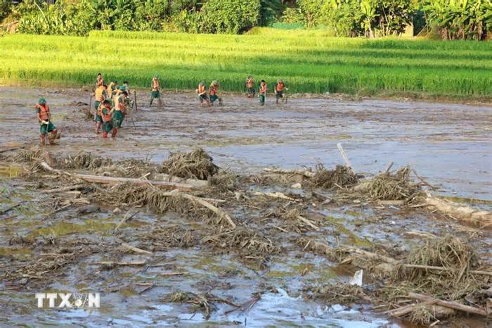 Nhìn lại những vụ sạt lở đất nghiêm trọng làm nhiều người thiệt mạng ở Việt Nam