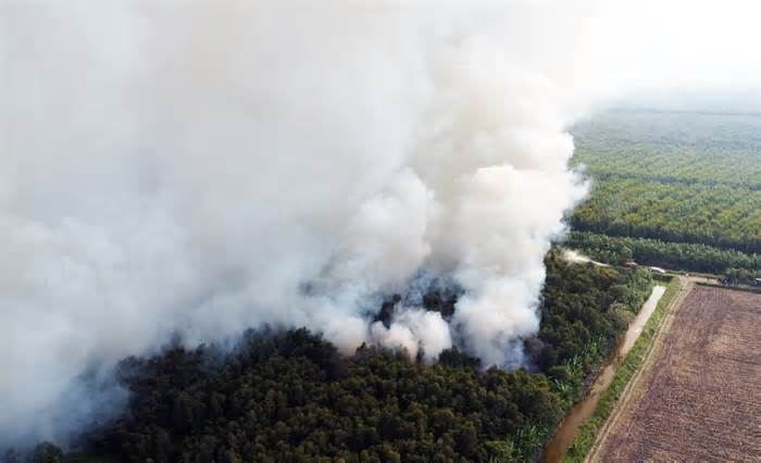 40 ha rừng ở Cà Mau cháy dữ dội