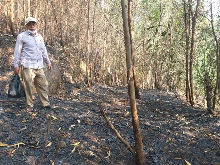 Nông dân Quảng Nam bất lực nhìn rừng keo cháy lớn, thiệt hại tiền tỷ