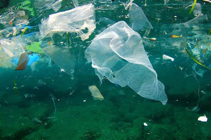 Đại dương ô nhiễm ‘chưa từng có’