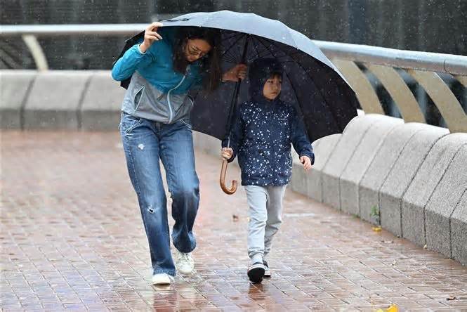 Trung Quốc: Bão Koinu gây mưa lớn, Hong Kong cho học sinh nghỉ học