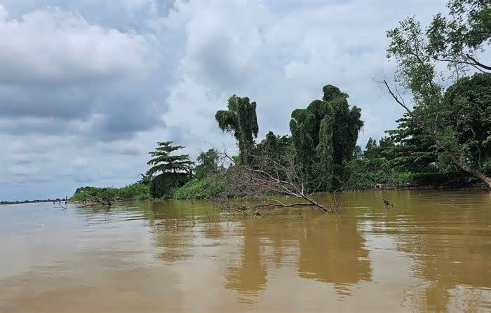 Quay cuồng trong cơn khát cát: Cát tặc hoành hành, bãi cồn teo tóp