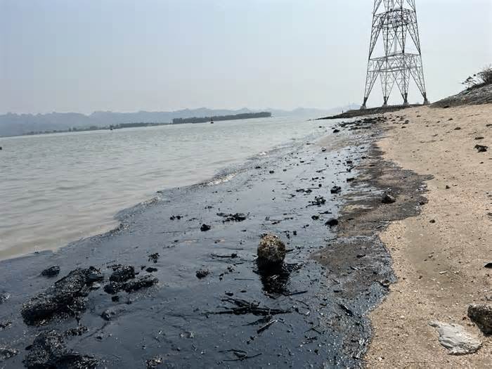 Hải Phòng: Khắc phục cơ bản sự cố tràn dầu tại khu vực bến phà Gót