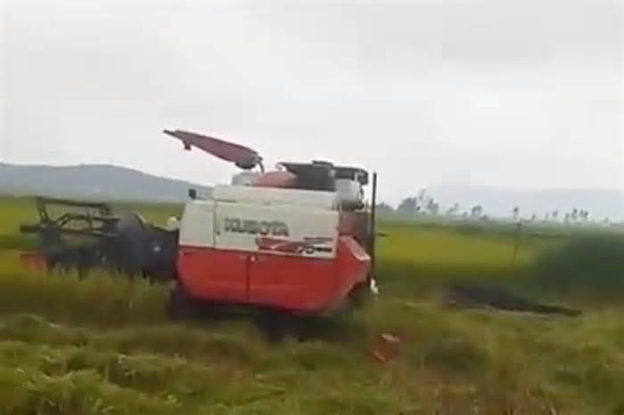 Chủ ruộng ở Nghệ An bất ngờ bị máy gặt lúa cán chết trên đồng