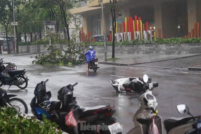 Hà Nội: Gió bão quật bay người, chủ phương tiện bỏ xe chạy 'thoát thân'