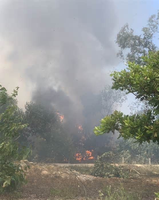 Quảng Nam: Cháy lớn thiêu rụi hơn 20ha rừng phòng hộ Pacsa