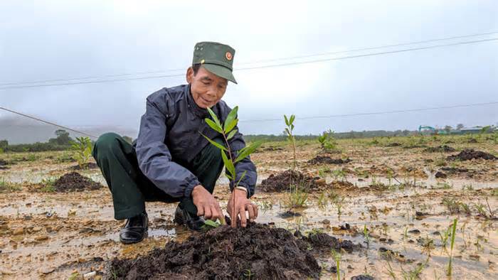 'Chiến dịch Hồ Chí Minh' giữa thời bình và chuyện đất chết hồi sinh