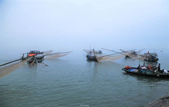 5-7 tiếng ra biển, ngư dân Hà Tĩnh kiếm hàng chục triệu đồng nhờ trúng đậm con ruốc