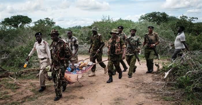 Kenya: Tìm thấy hơn 200 thi thể nghi liên quan giáo phái tuyệt thực