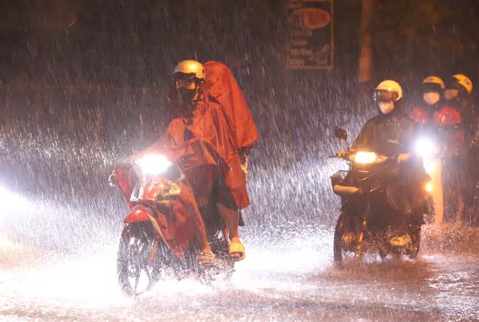 Cây xanh ngã đổ, ô tô ngập nước trong cơn mưa lớn ở TPHCM