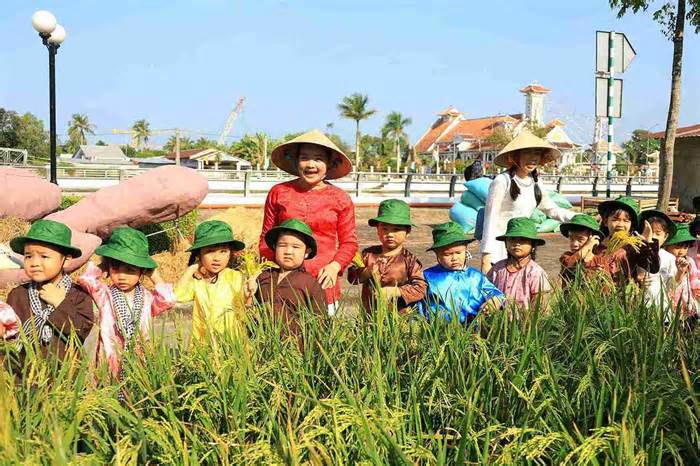 Cận cảnh con đường lúa gạo, điểm checkin mới ở Hậu Giang