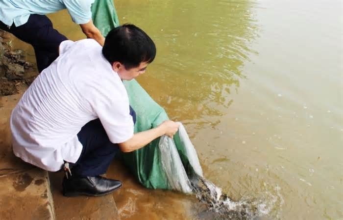 Thả hơn 82.000 cá giống để tái tạo nguồn lợi thủy sản tại Thái Nguyên