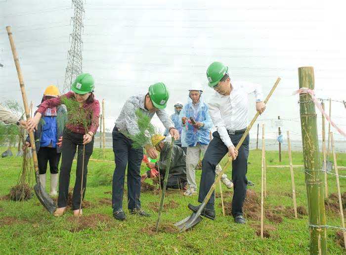 Trồng cây xanh là nội dung quan trọng trong quá trình phát triển của PetroVietnam